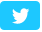 Twitter Link